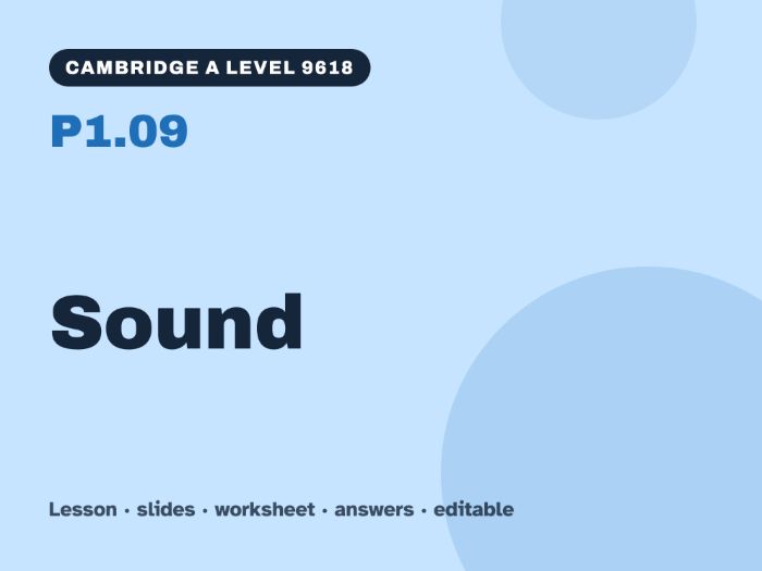 Cambridge A Level Computer Science 9618 – P1.09 Sound – Lesson & Worksheet