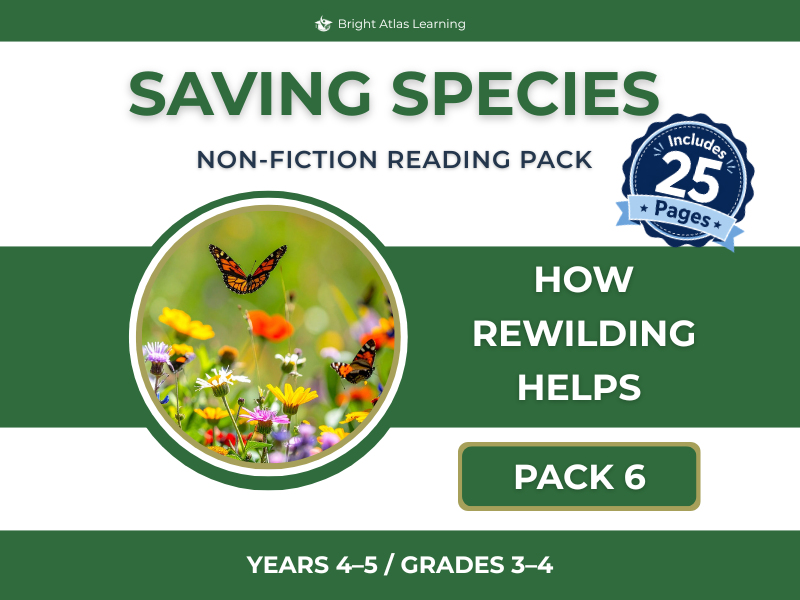 How Rewilding Helps Pack | KS2 | Y4–5