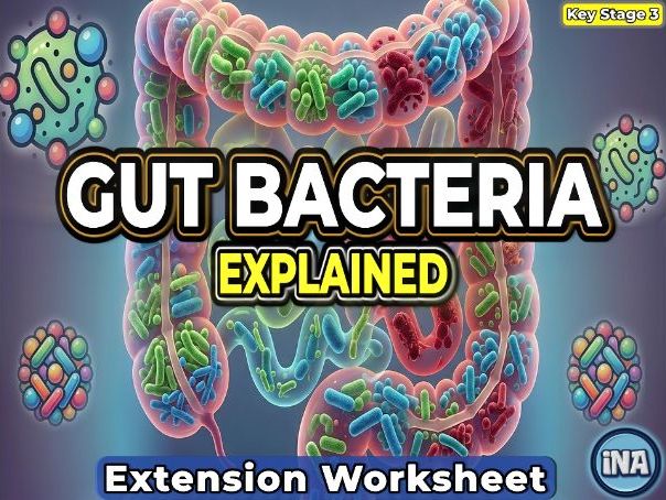 Bacteria in the Digestive System - KS3 Biology Extension Pack