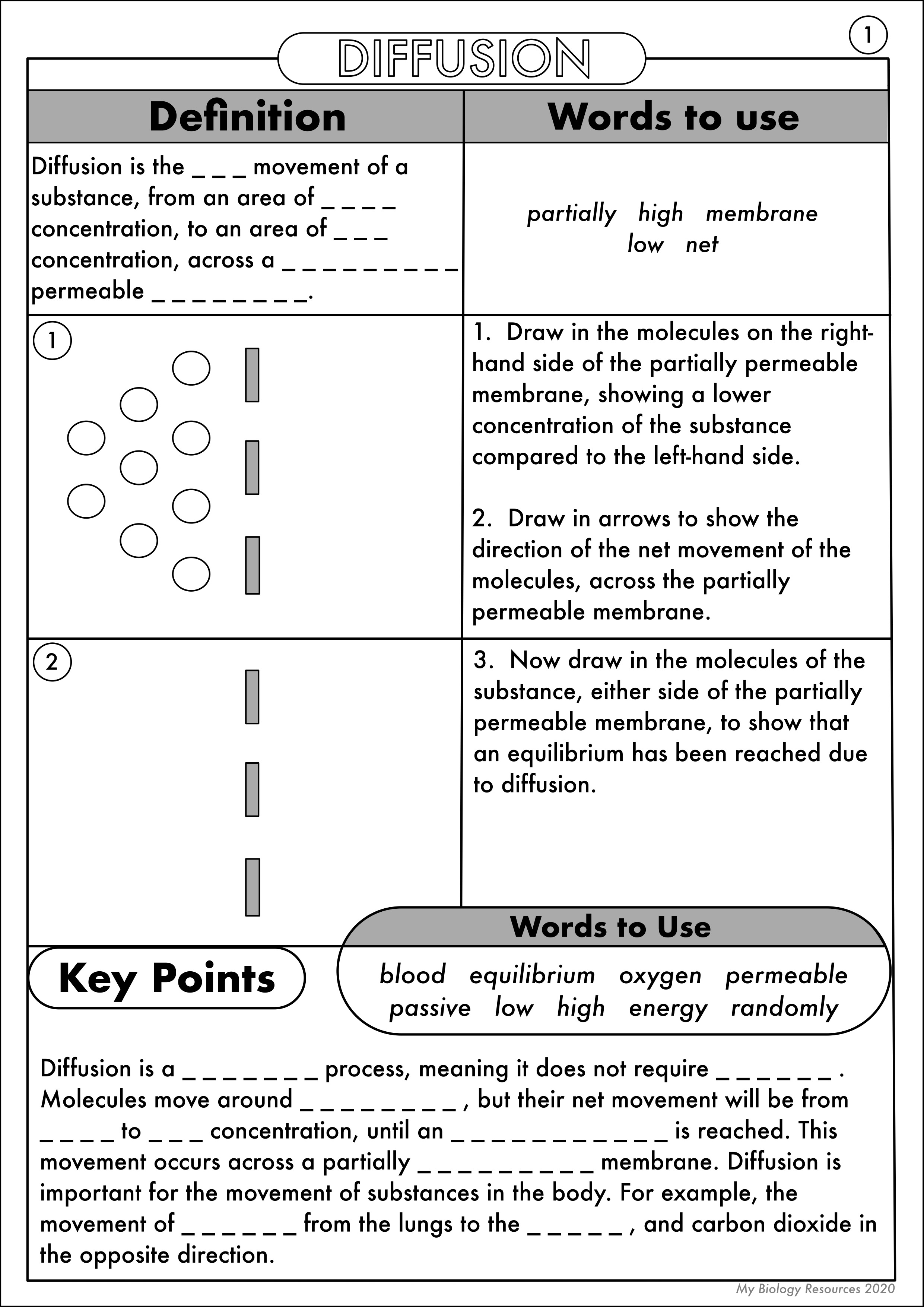 GCSE Biology Diffusion Osmosis And Active Transport Worksheet Pack