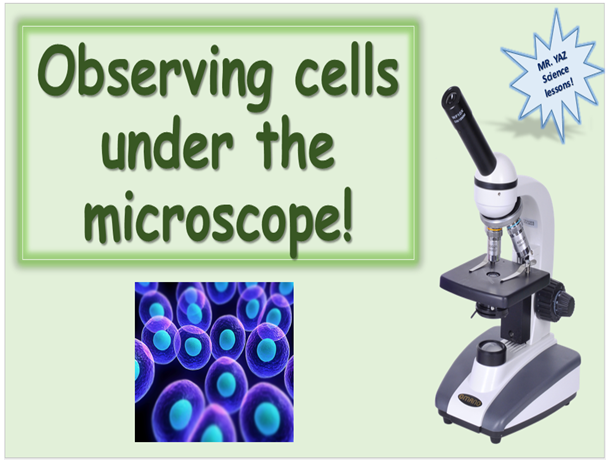 Observing Cells Microscopes Lesson Ks3 Teaching Resources Observing Cells Microscopes Lesson Ks3 Teaching Resources