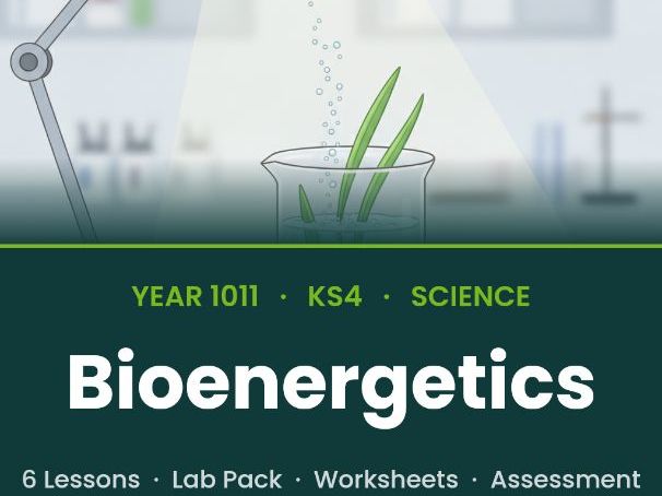 GCSE Biology: Bioenergetics | Photosynthesis & Respiration + RP (AQA)