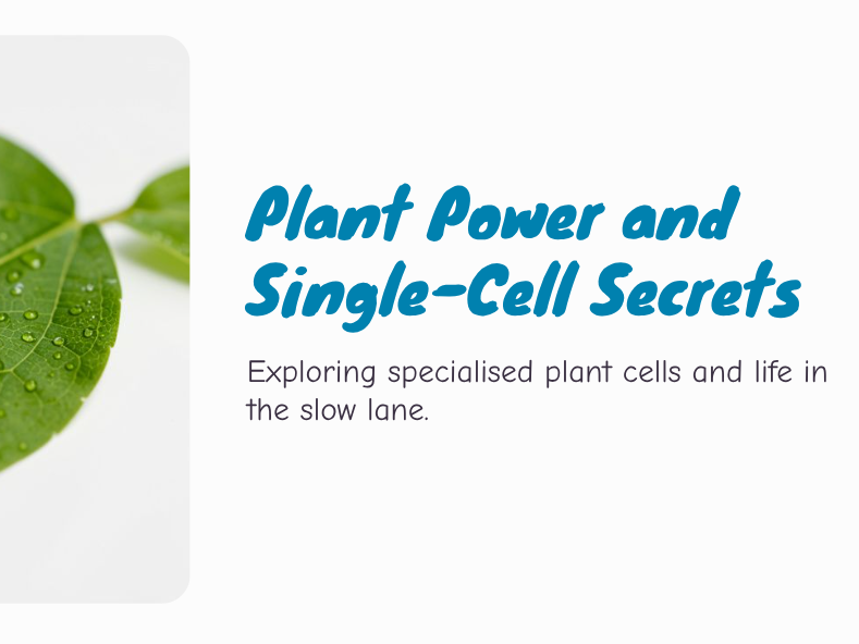 Y7 - Cells - Plant Power and Single-Cell Secrets