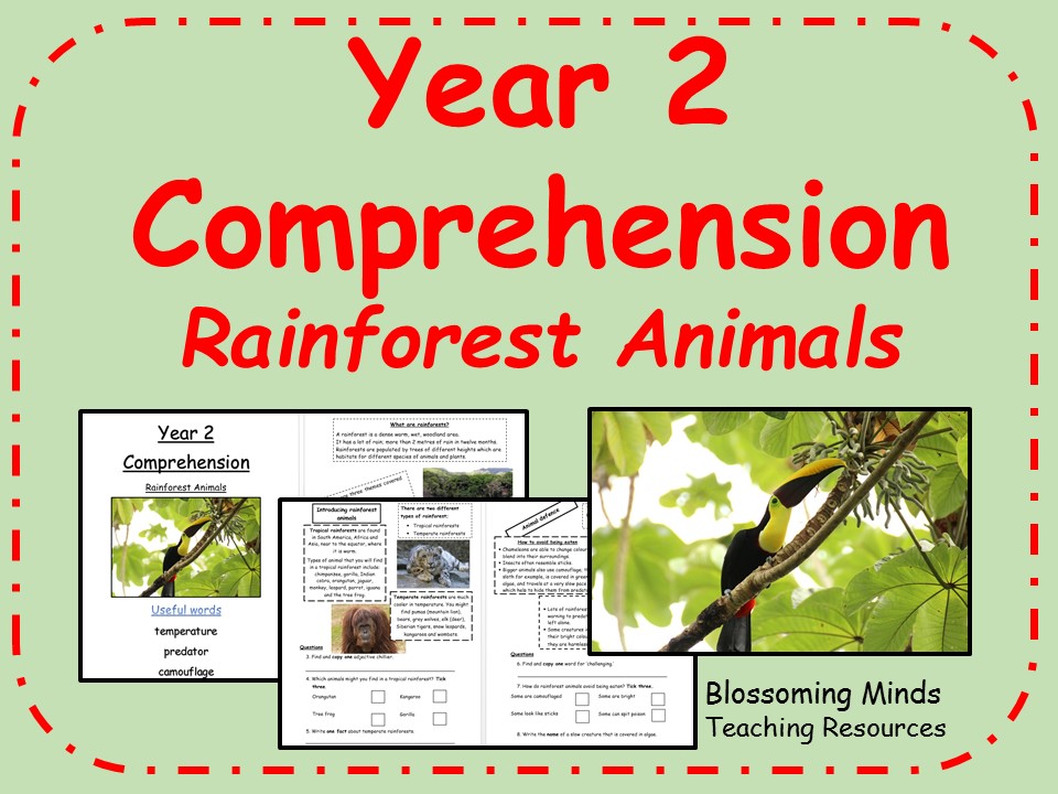 Year 2 SATs comprehension rainforest animals Science