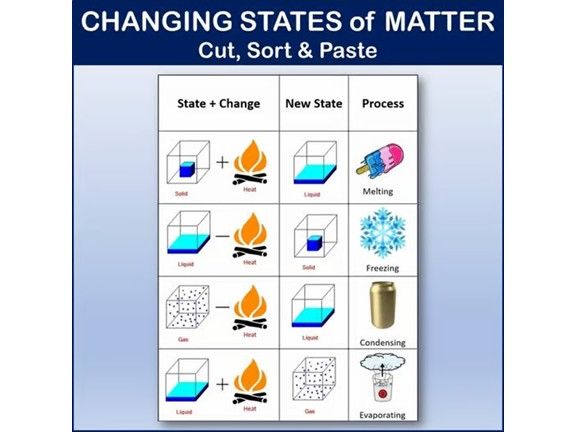 Changing States of Matter Cut, Sort & Paste | Printable Worksheet Activity