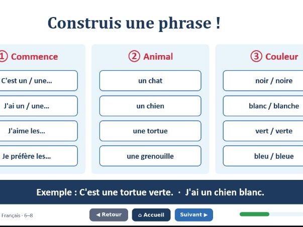 Les animaux et les couleur