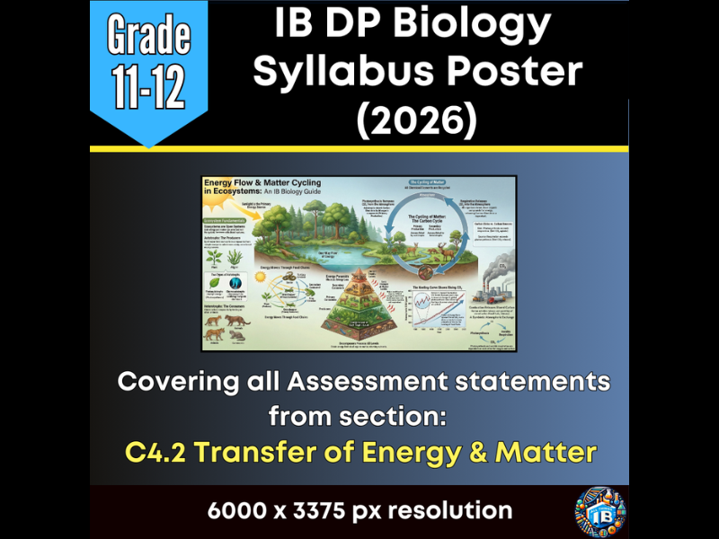 IB DP Biology Digital Infographic Poster: C4.2 Energy and Matter Transfers 2026