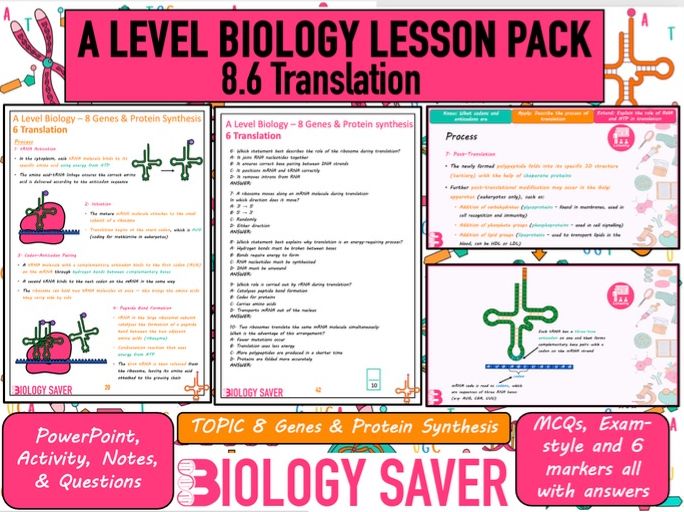 A Level Bio Lesson - 8.6 Translation