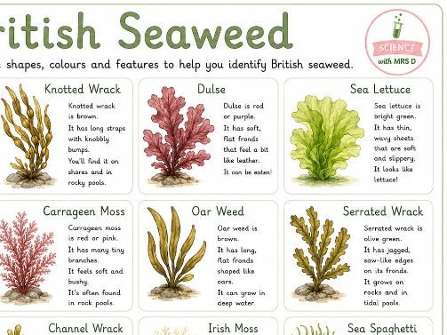 British seaweed