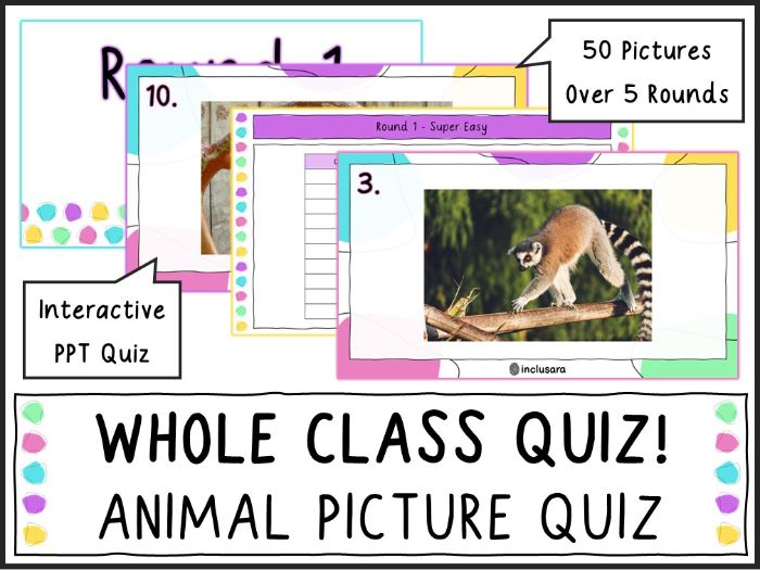 Whole Class Animal Photo Quiz, End of Year/Term Quiz