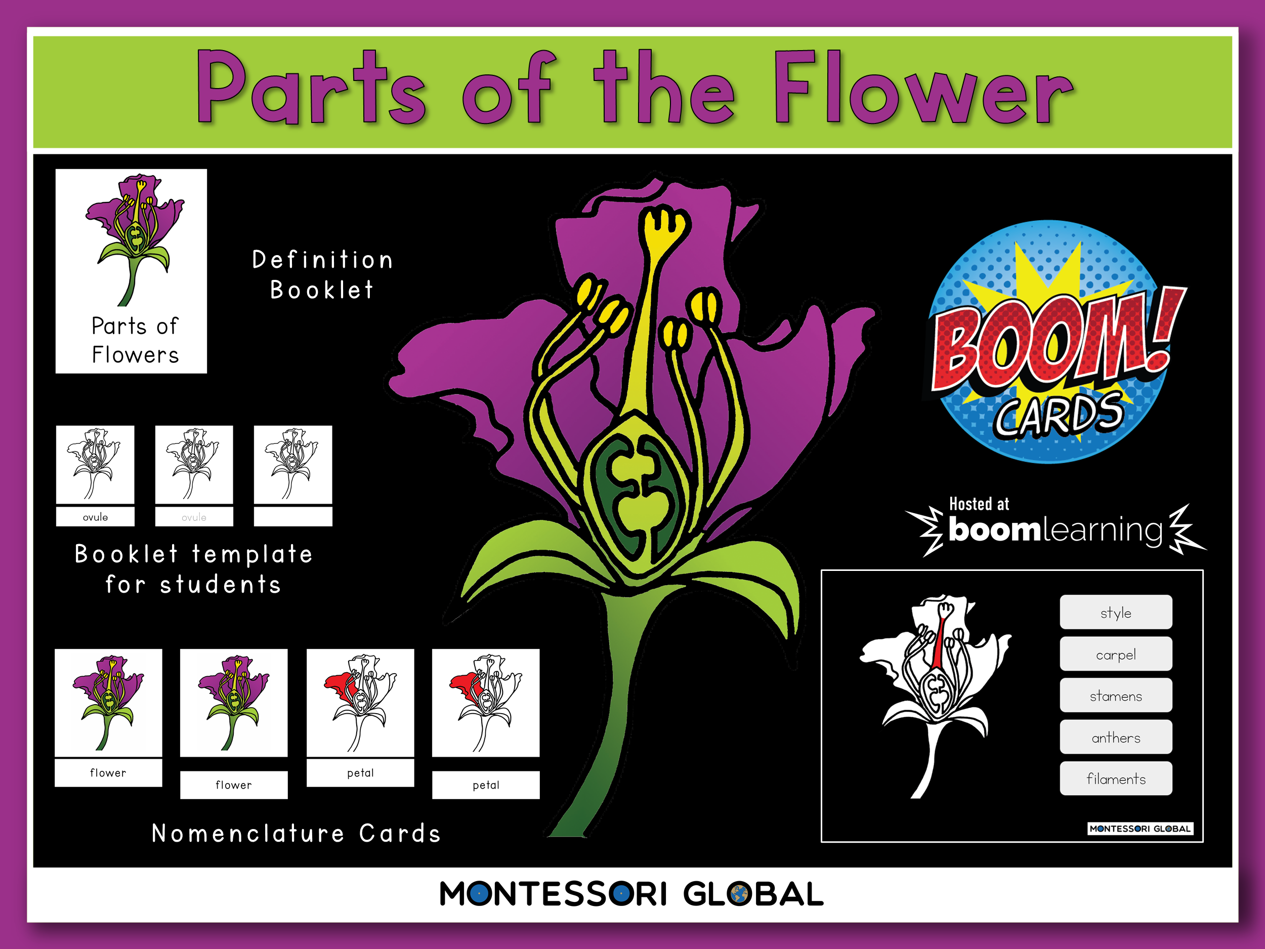 Parts of the Flower | Montessori Nomenclatures Cards and Boom Cards 