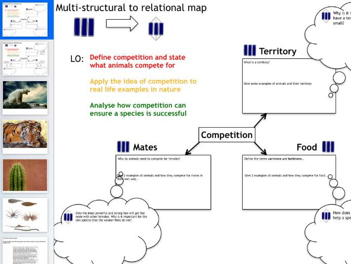 Competition in animals SOLO Taxonomy complete lesson