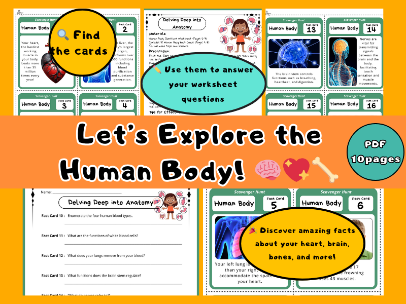 Human Body Scavenger Hunt & Worksheets , Fun Anatomy Activity Pack.