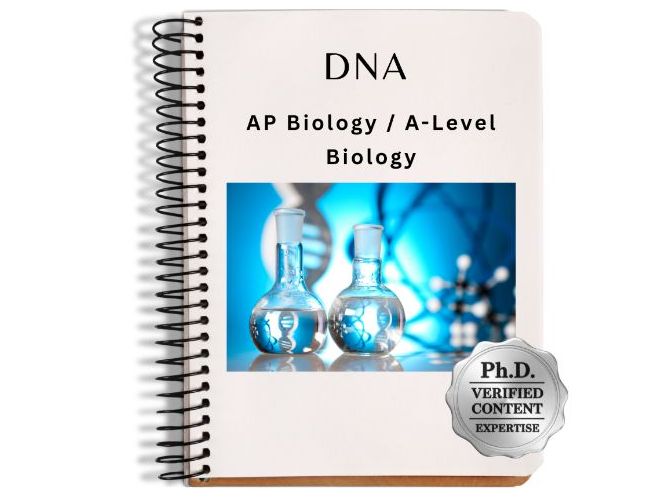 AP / A-Level Biology: DNA Slide Deck & Reference Materials
