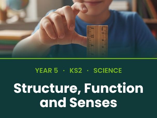 Y4 Science: Animals & Humans — Structures & Senses | Full Unit