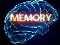 AQA GCSE Psychology Memory, all topics