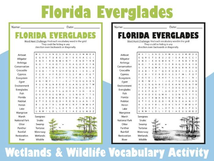 Florida Everglades Word Search Puzzle | Wetlands & Wildlife Vocabulary Activity