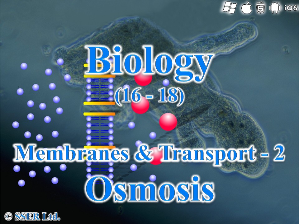 BioA_3.2.3 Membranes & Transport 2 - Osmosis