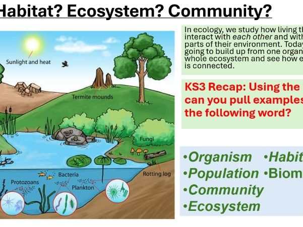 B7 Ecology - L1 Communities and Food Chains