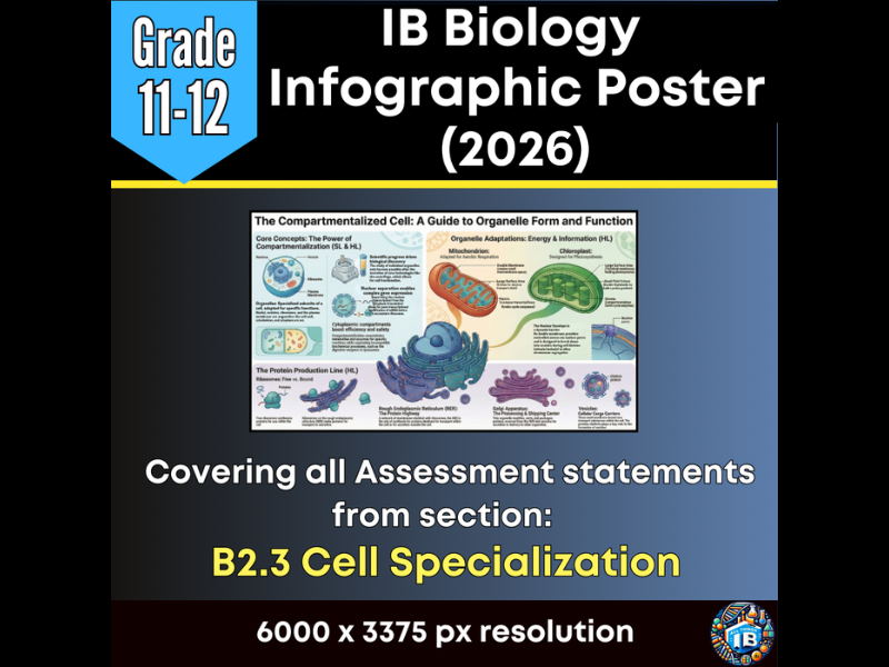 IB DP Biology Digital Infographic Poster: B2.3 Cell Specialization 2026