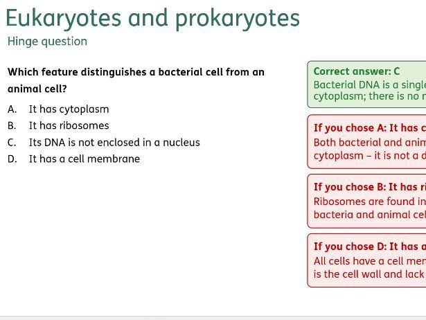 Biology GCSE AQA (8461) - Hinge questions
