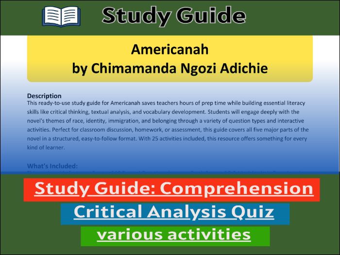 Americanah by Chimamanda Ngozi Adichie, study guide & Activities
