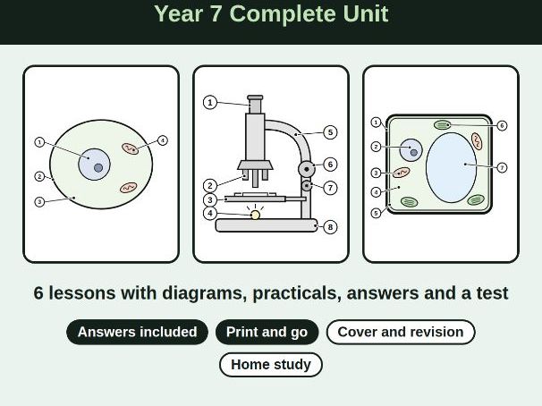 Bundle KS3 Biology Cells Unit: Year 7 Worksheets