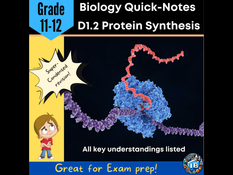IB DP Biology D1.2 Protein Synthesis - Condensed Topic Notes 2026