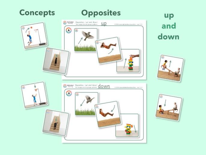Exploring concepts Opposites Up and Down