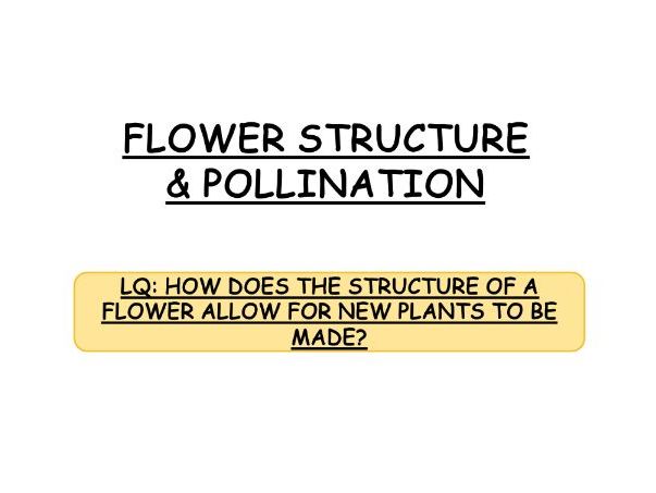 **iGCSE Biology Edexcel - FLOWER STRUCTURE & POLLINATION**