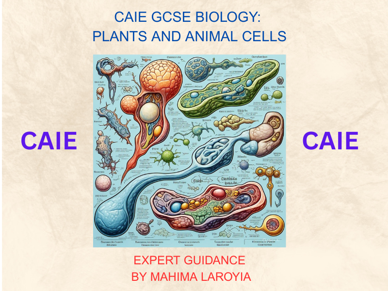CAIE GCSE Biology: Plants and Animal Cells