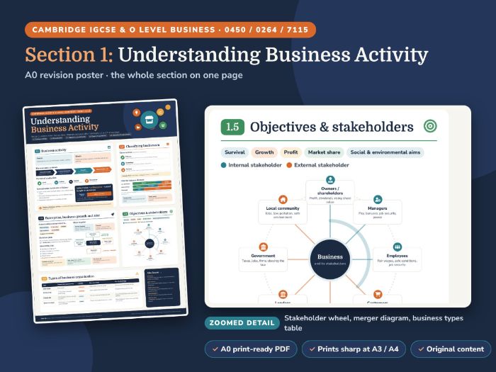 IGCSE Business Section 1 Revision Poster