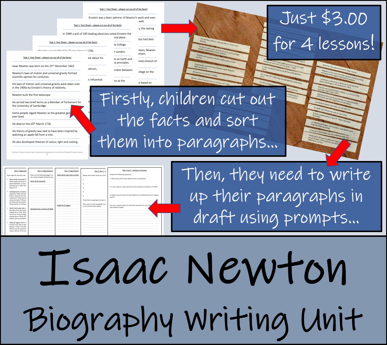 write the biography of newton