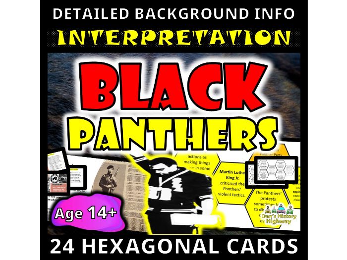 How fair was the American perception of the Black Panthers?