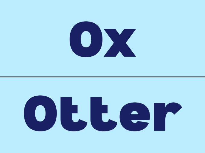 Simple Phonetics Letter O Alphabet Flashcards