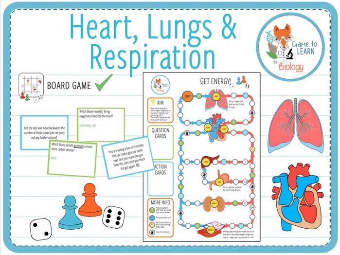 Heart, Lungs & Respiration Board Game (KS4) Teaching Resources