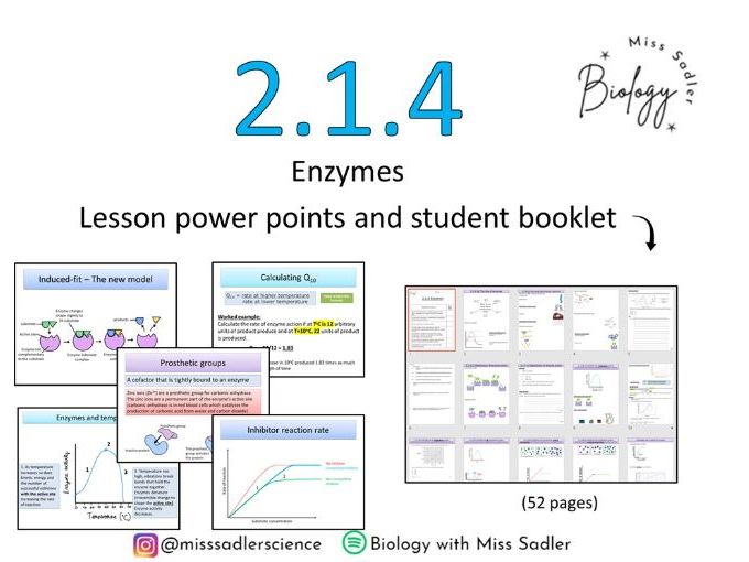 2.1.4 Enzymes OCR A level Biology (approx 16 lessons)