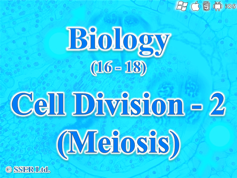 BioA_3.4.3 Meiosis