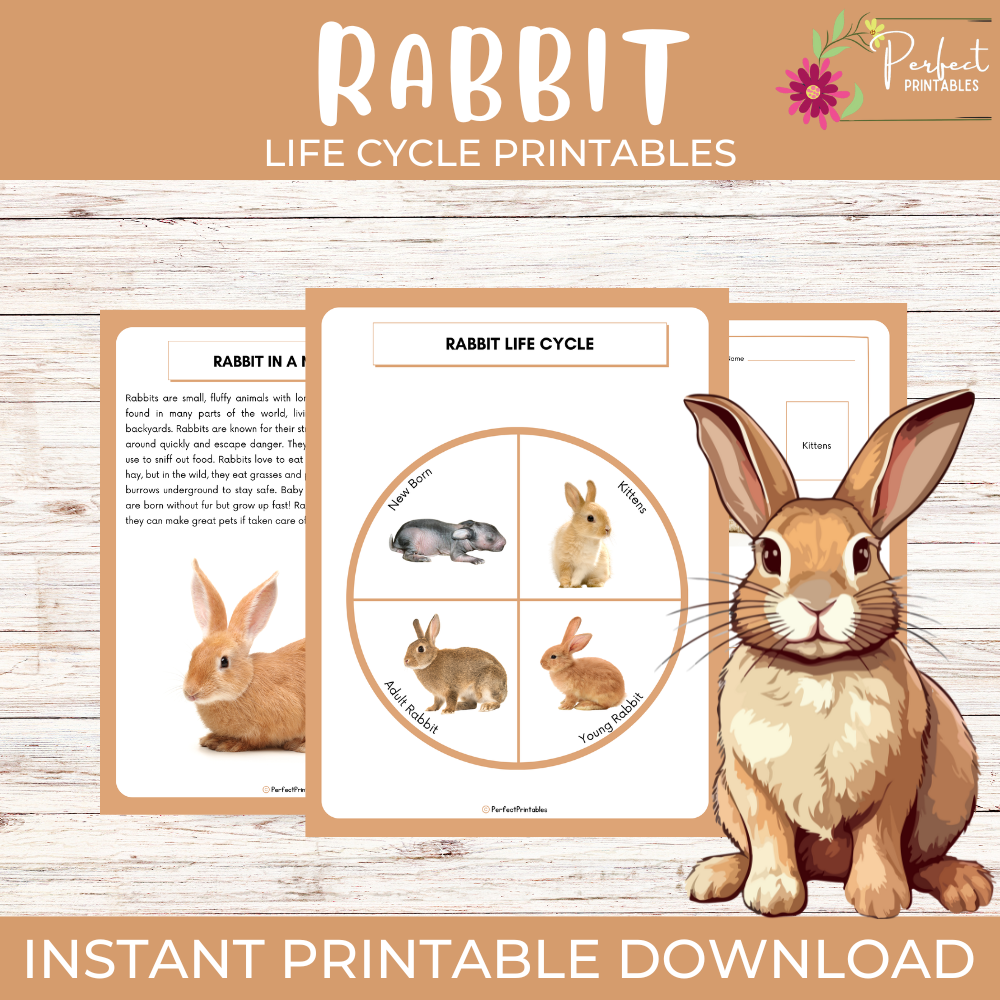 pdf, 11.92 MB