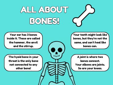 KS1/KS2 Halloween Pasta Skeleton Activity Pack