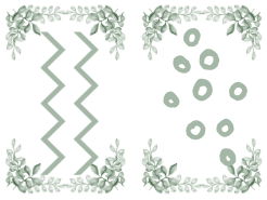 Botanical Pre Writing Marks- Flashcards