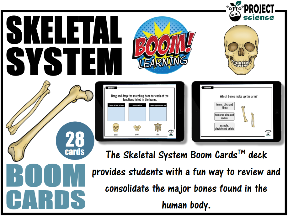 Skeletal System Boom Cards™ - Distance Learning