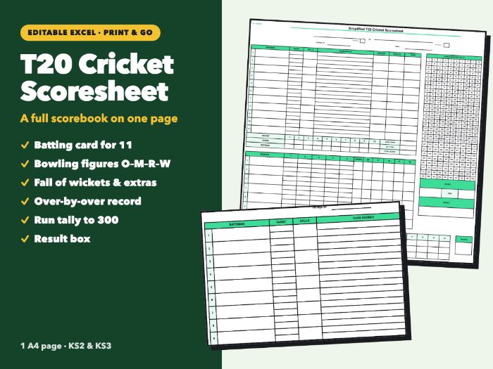 Cricket Scoresheet: Simplified T20 | Batting, Bowling & Run Tally | Editable Excel | KS2 & KS3