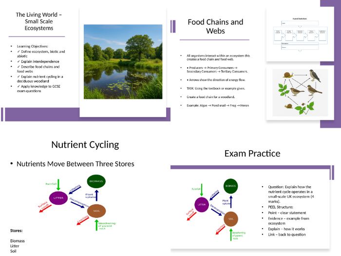 AQA GCSE Geography A small scale U.K ecosystem