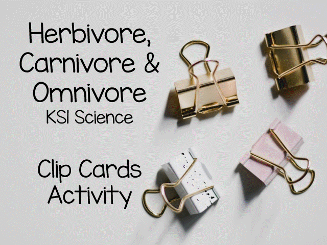 Herbivores, Carnivores and Omnivores Clip Cards - Animal Diets Science Activity