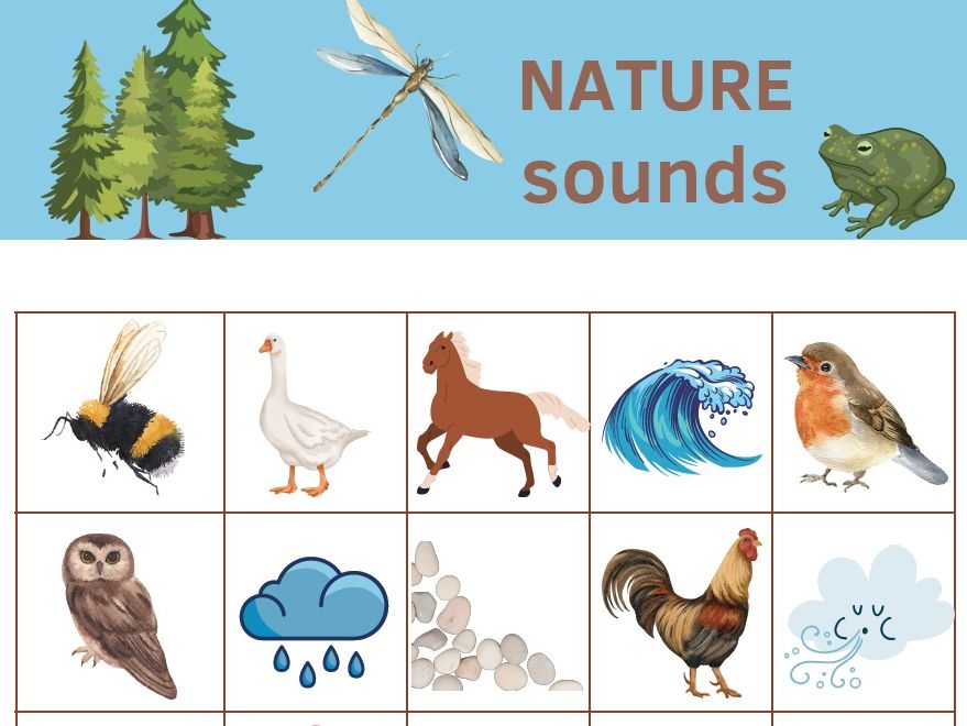 Nature Sounds