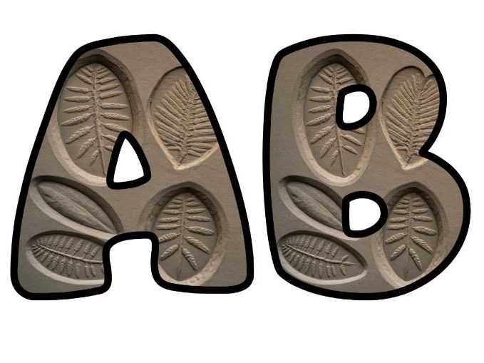 Fossil Imprints Rock Lettering Set | Classroom Display | Upper & Lowercase, 0-9 and Signs