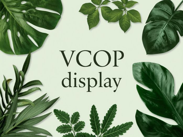 VCOP Display