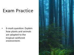 AQA GCSE Geography Tropical Rainforests