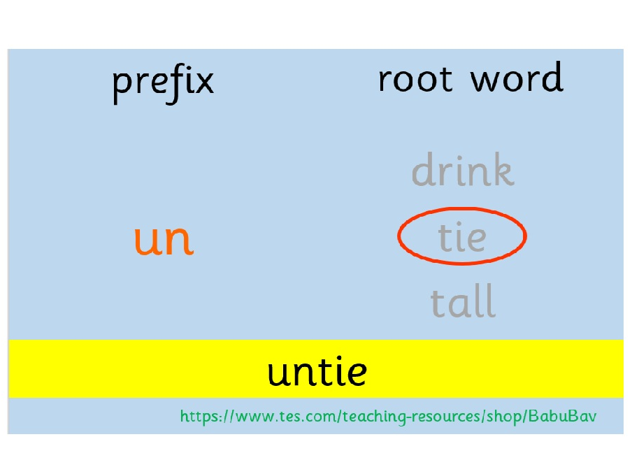 Prefixes (un- dis- re- in-)